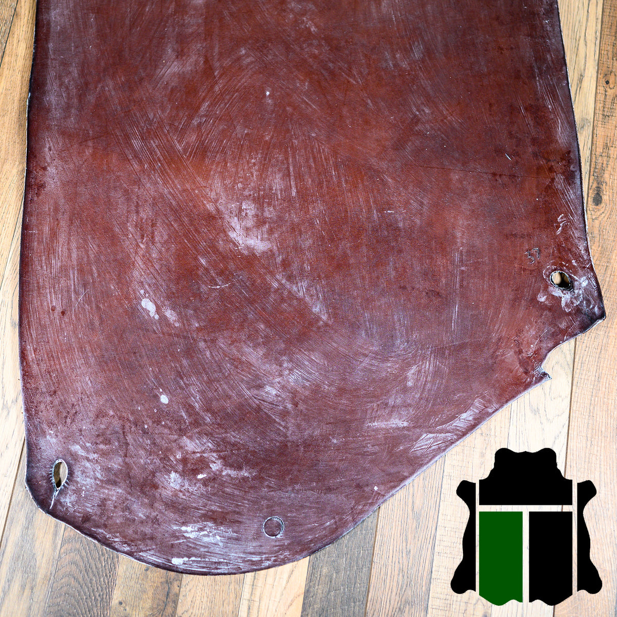 小物 2024 Baker Oak Bark Porosus / TONGUE AustralianNut-