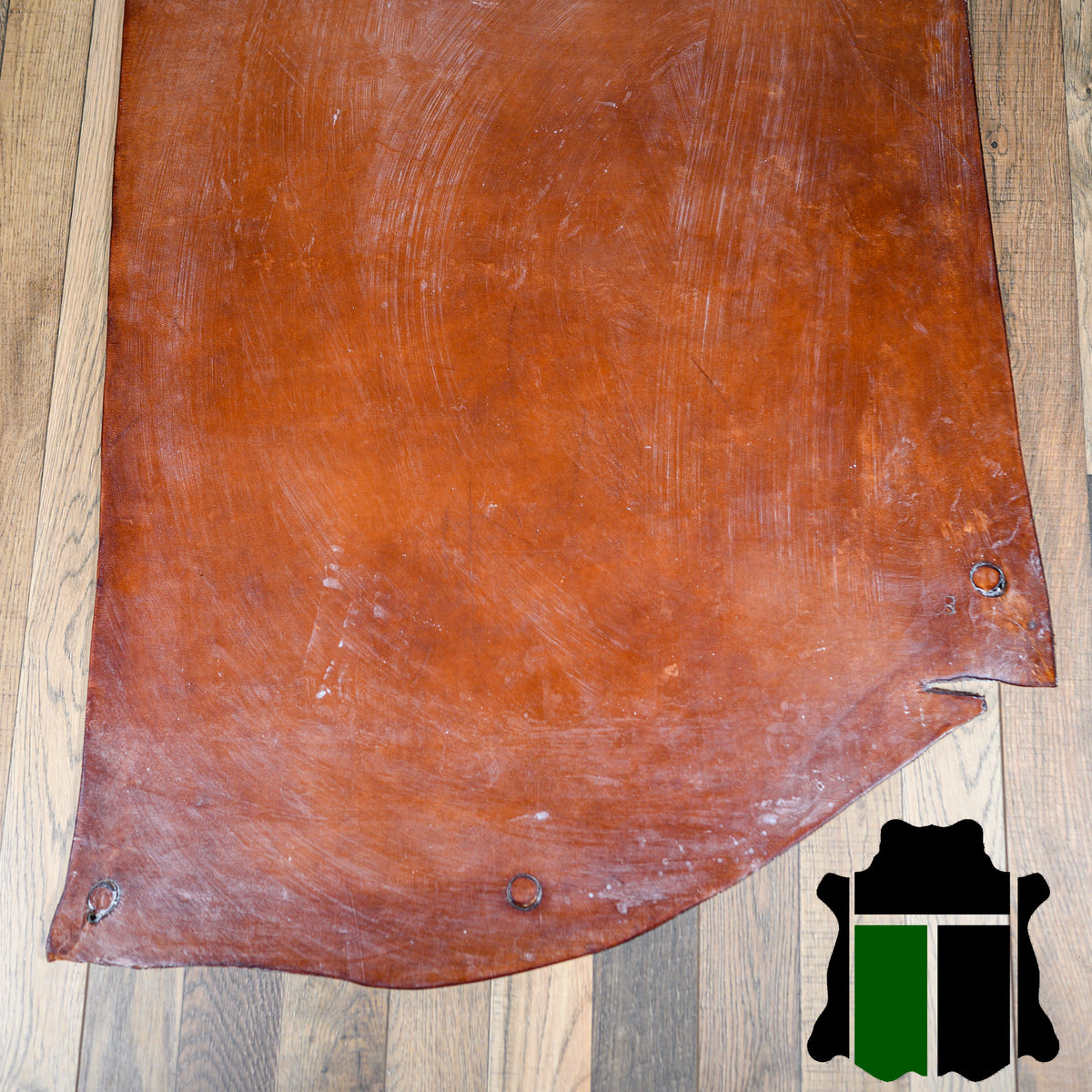 小物 2024 Baker Oak Bark Porosus / TONGUE 2024 Baker Oak Bark Porosus / TONGUE