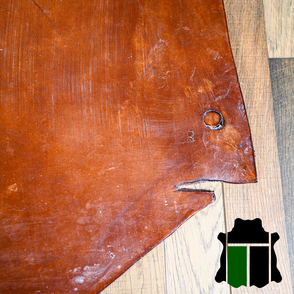 J&FJ Baker & Co Bridle Leather | Oak Bark Tanned | Minneapolis MN