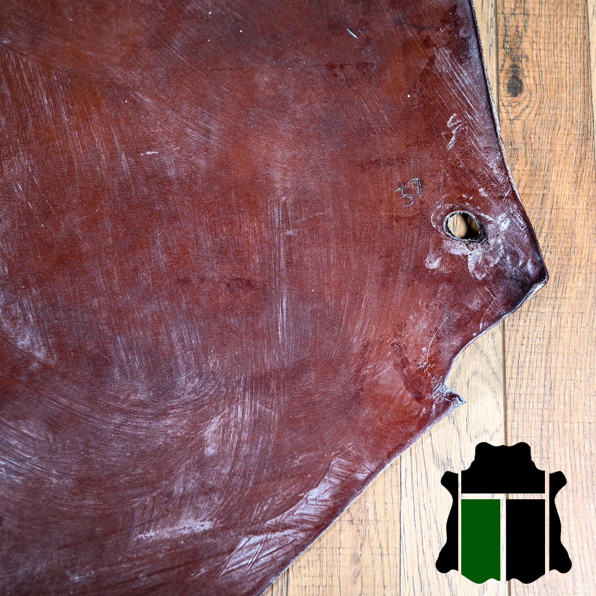Baker Oak Bark Porosus / TONGUE